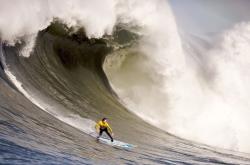 科维托娃在雄鹿比赛中挺进下一轮，连败引发热议！